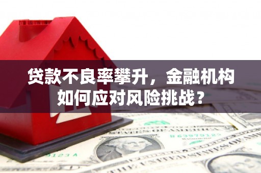 三原贷款不良率攀升，金融机构如何应对风险挑战？