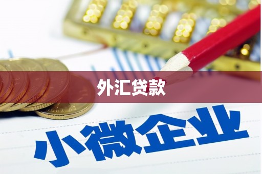 三原外汇贷款