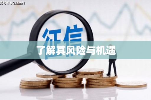 三原了解其风险与机遇