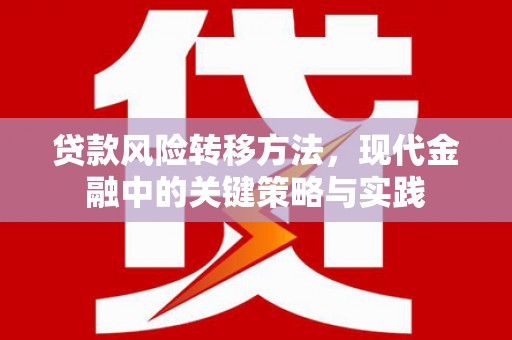 三原贷款风险转移方法，现代金融中的关键策略与实践