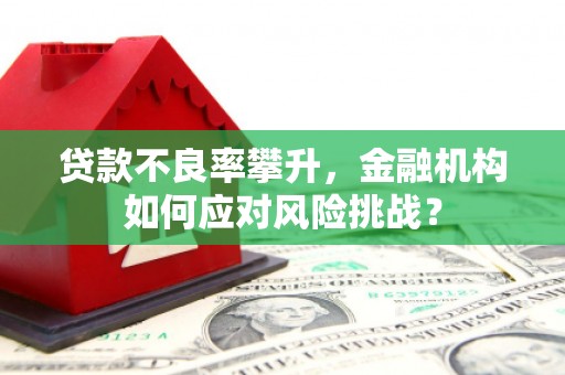 三原贷款不良率攀升，金融机构如何应对风险挑战？