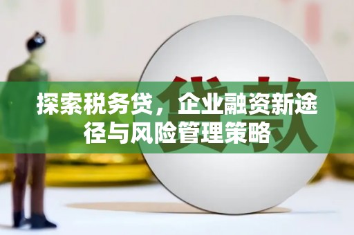 三原探索税务贷，企业融资新途径与风险管理策略
