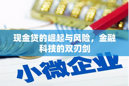 三原现金贷的崛起与风险，金融科技的双刃剑