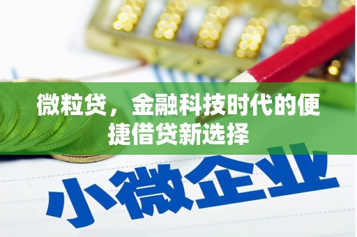 三原微粒贷，金融科技时代的便捷借贷新选择
