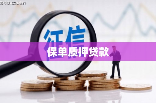 三原保单质押贷款