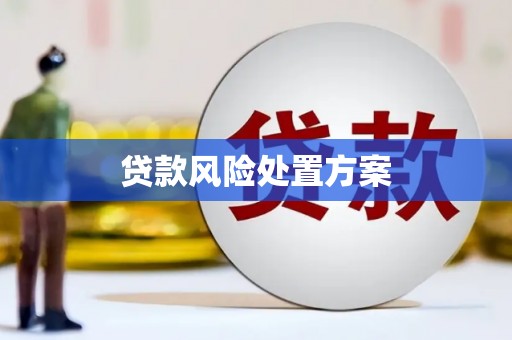 三原贷款风险处置方案